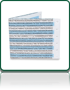 Dot Matrix Pi Mighty Wallet&trade;.